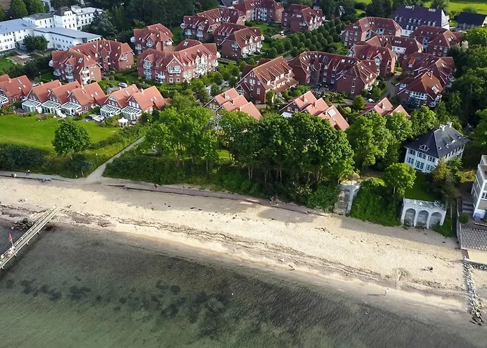 Ostseeallee 6 Treibholz *